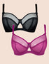 Curvy Kate Victory Side Support Balcony Bra 2-Pack Black and Orchid